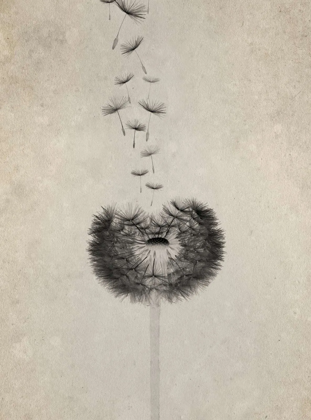 buddhist fear of death 2